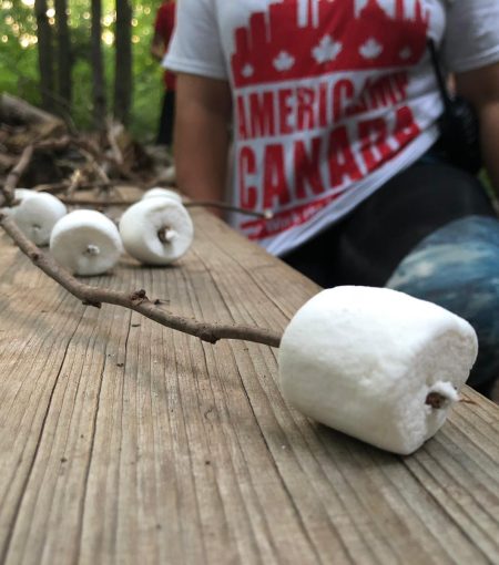 WhatsApp Image 2019-07-19 at 04.53.00